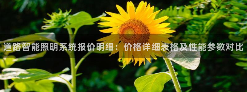 千亿国际pt游戏:道路智能照明系统报价明细:价格详细表格及性能参数对比