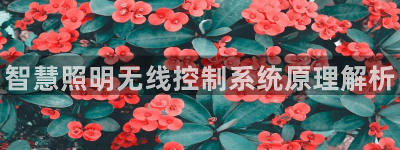 千亿国际跟盛辉是一家的吗知乎:智慧照明无线控制系统原理解析
