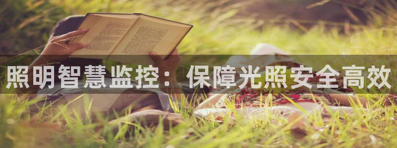 千亿国际唯一平台：照明智慧监控：保障光照安全高效