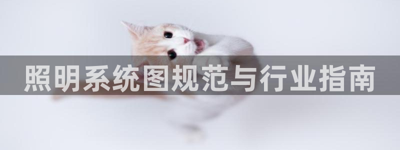 千亿国际pt：照明系统图规范与行业指南
