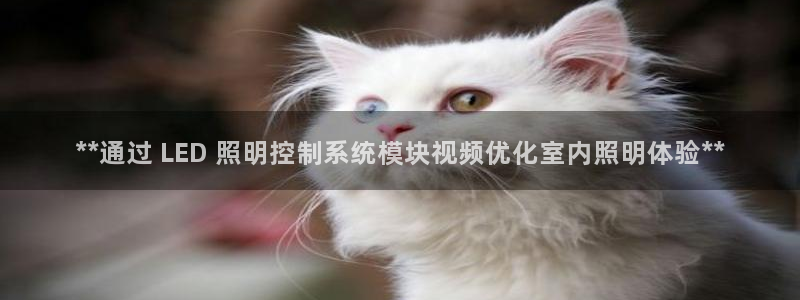 千亿国际跟盛辉是一家的吗:**通过 LED 照明控制系统模块视频优化室内照明体验**