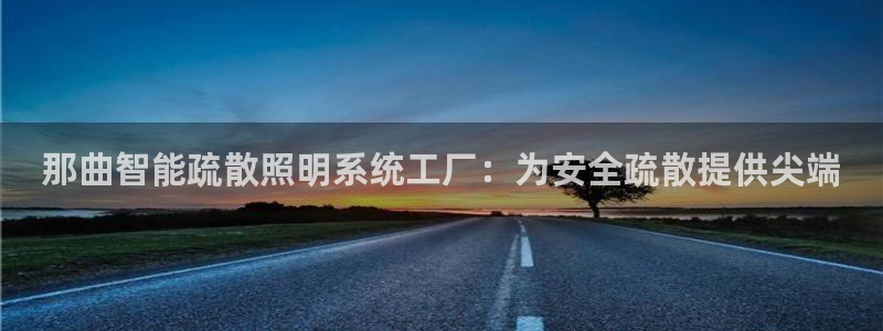 千亿国际平台是真是假呀：那曲智能疏散照明系统工厂：为安全疏散提供尖端
