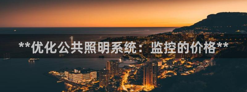 千亿国际电子游戏平台中心:**优化公共照明系统:监控的价格**