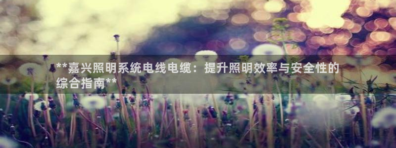 千亿国际是做什么的公司:**嘉兴照明系统电线电缆:提升照明效率与安全性的
综合指南**