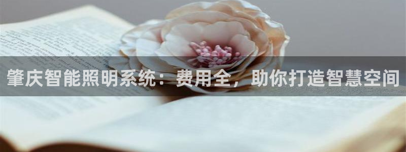 千亿国际促经济：肇庆智能照明系统：费用全，助你打造智慧空间