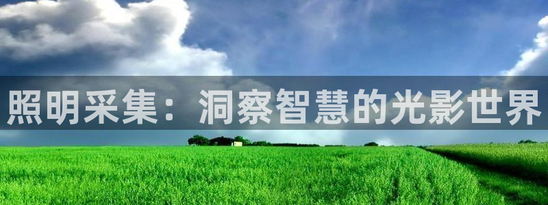 千亿国际休育：照明采集：洞察智慧的光影世界