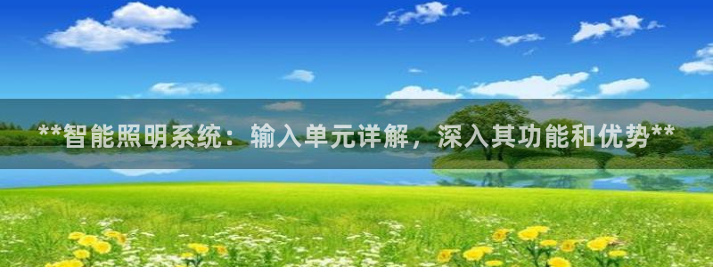 千亿国际手机官网app:**智能照明系统:输入单元详解,深入其功能和优势**
