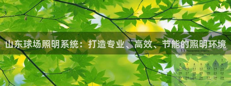 千亿国际手机版唯一官网:山东球场照明系统:打造专业、高效、节能的照明环境