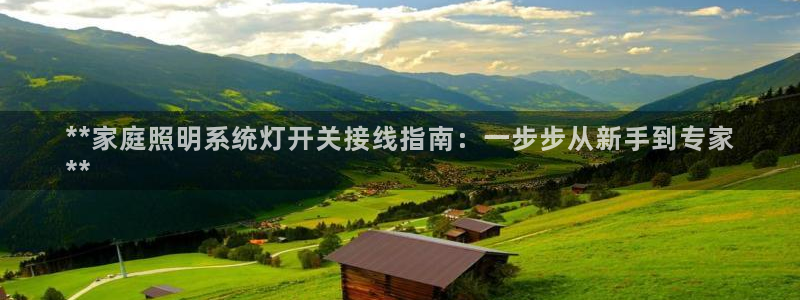 千亿国际的游戏怎么样赚钱:**家庭照明系统灯开关接线指南:一步步从新手到专家
**
