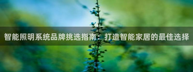 千亿国际跟盛辉是一家的吗:智能照明系统品牌挑选指南:打造智能家居的最佳选择