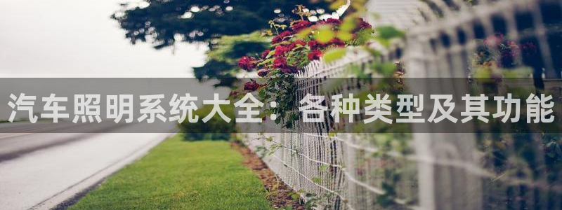 千亿国际龙8:汽车照明系统大全:各种类型及其功能