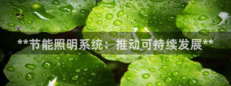 千亿国际网页版：**节能照明系统：推动可持续发展**