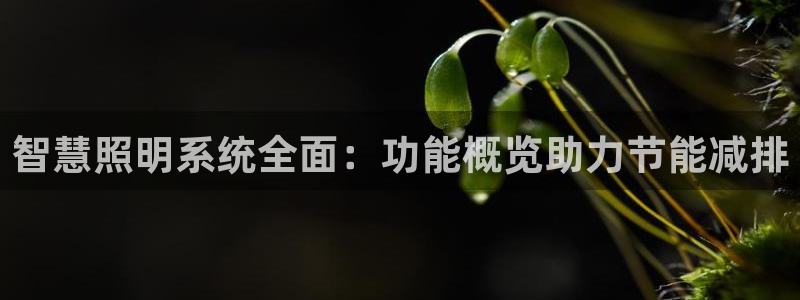 千亿国际官网:智慧照明系统全面:功能概览助力节能减排
