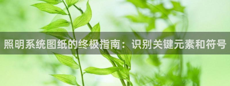 千亿国际2021官方网站pkufli4.30:照明系统图纸的终极指南:识别关键元素和符号
