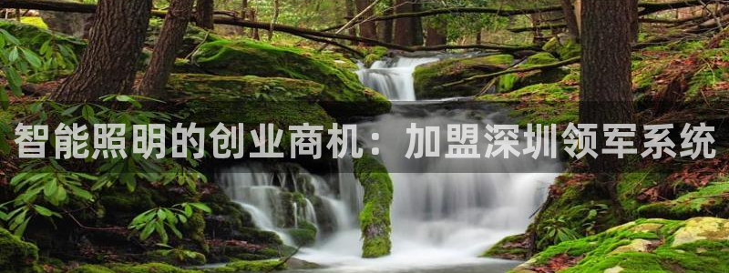 千亿国际董事长是谁：智能照明的创业商机：加盟深圳领军系统