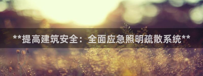 千亿国际平台是真是假呀：**提高建筑安全：全面应急照明疏散系统**