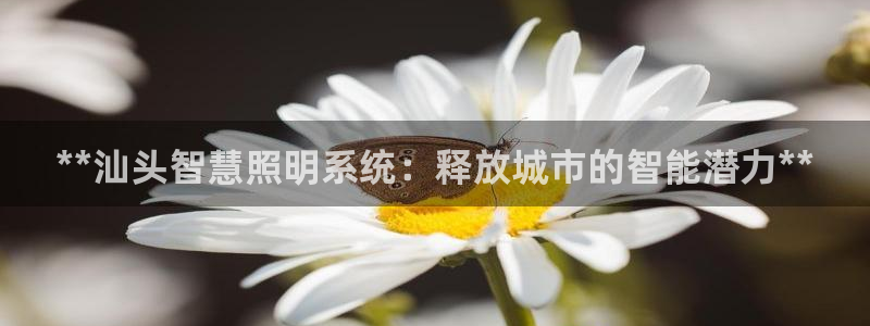 千亿国际淏玉化妆品：**汕头智慧照明系统：释放城市的智能潜力**