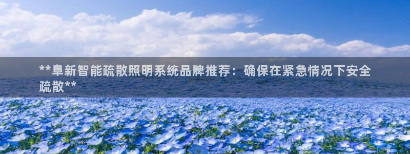 千亿国际集团怎么样啊：**阜新智能疏散照明系统品牌推荐：确保在紧急情况下安全
疏散**