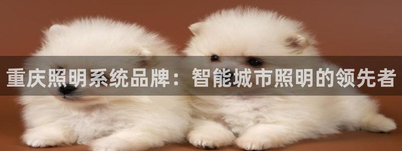 千亿国际唯一官网下载：重庆照明系统品牌：智能城市照明的领先者