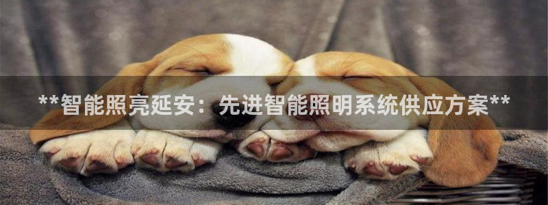 qy98千亿国际手机登录：**智能照亮延安：先进智能照明系统供应方案**