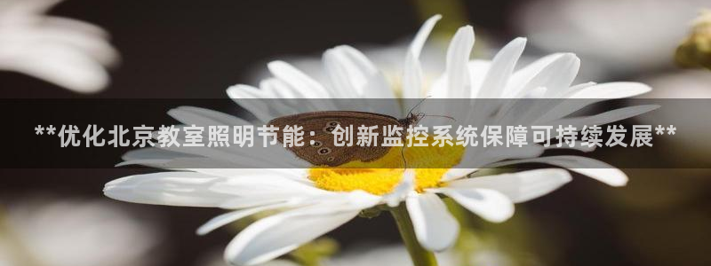 千亿国际公司网址是多少：**优化北京教室照明节能：创新监控系统保障可持续发展**