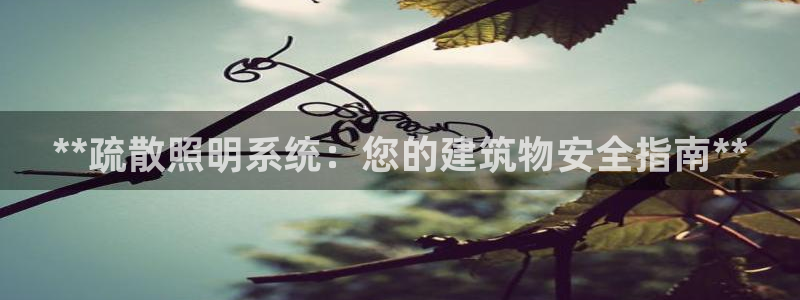 千亿国际集团怎么样可靠吗：**疏散照明系统：您的建筑物安全指南**