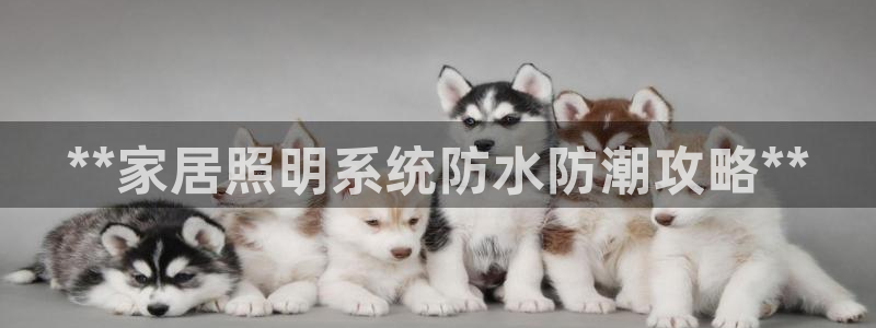 千亿国际q y 996：**家居照明系统防水防潮攻略**